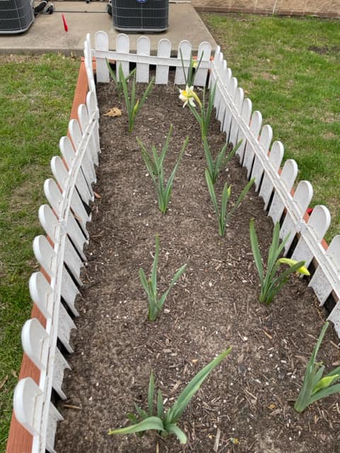  Gardening Club